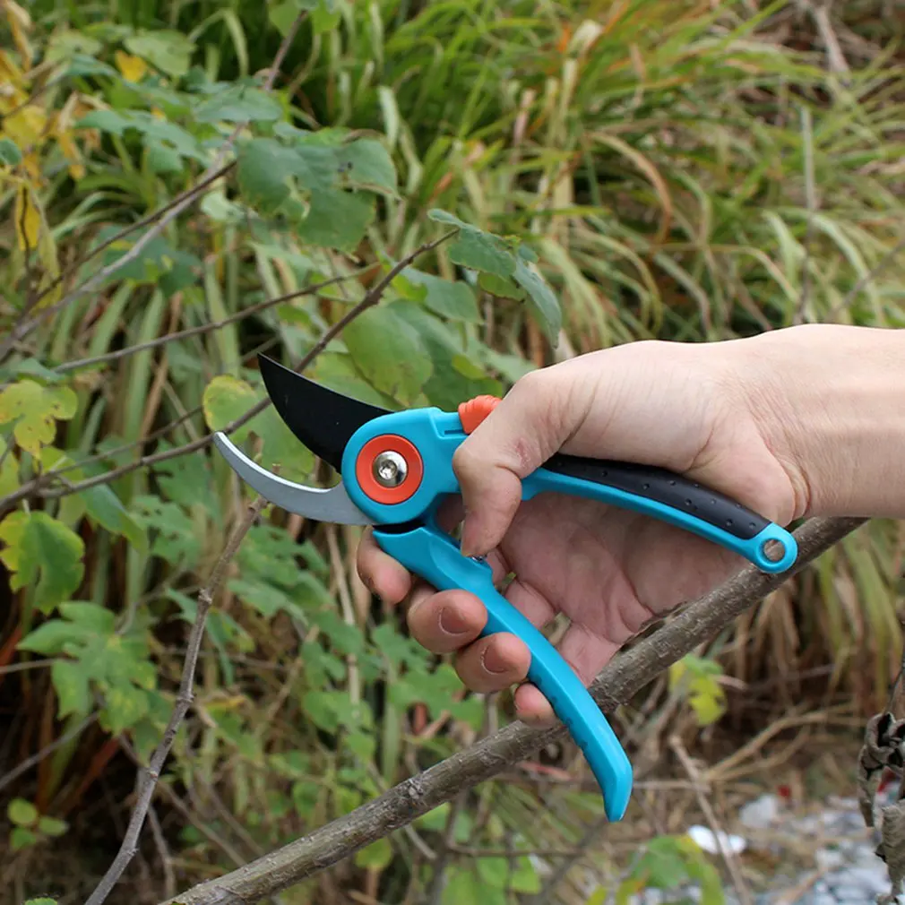 New Multifunctional Garden Scissors with ABS Handle Outdoor Bonsai Flower Fruit Trees Pruning Tool Gardening Supplies
New Multifunctional Garden Scissors with ABS Handle Outdoor Bonsai Flower Fruit Trees Pruning Tool Gardening Supplies
