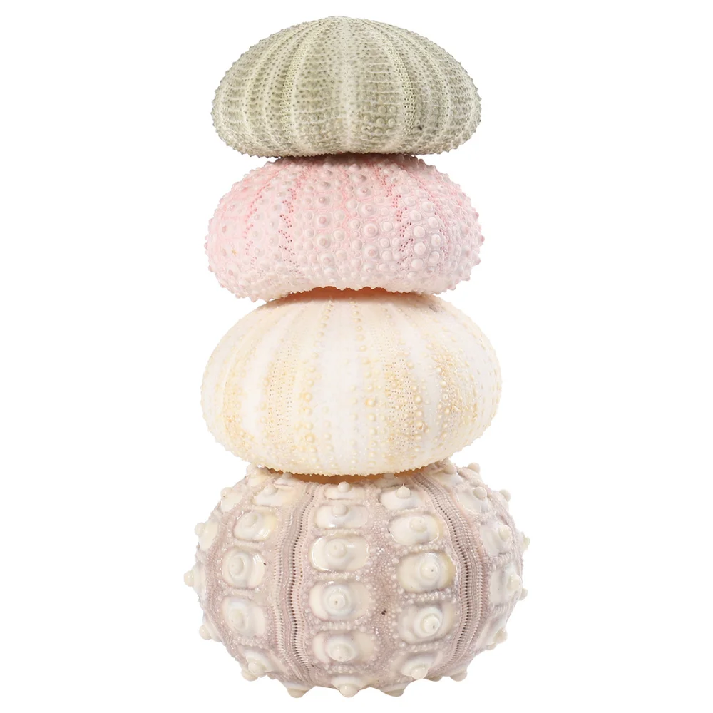 4Pcs Creative Sea Urchin Ornaments Tillandsia Cultivation Containers DIY Planting Pots for Home Shop Office
4Pcs Creative Sea Urchin Ornaments Tillandsia Cultivation Containers DIY Planting Pots for Home Shop Office