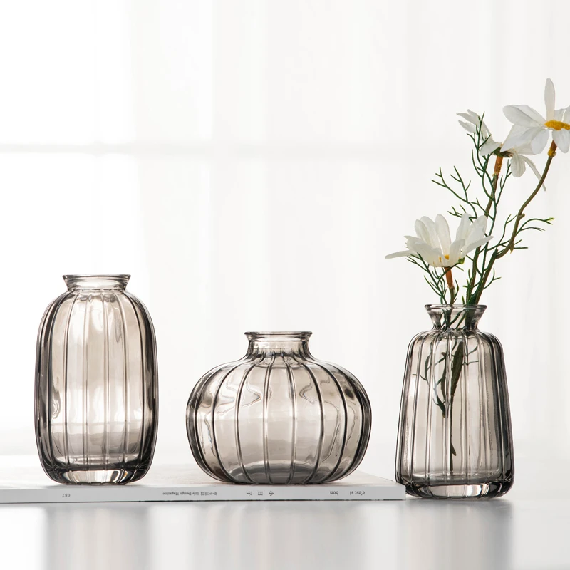 Modern Hydroponic Embossed Glass Vase Transparent Color Flower Arrangement Mini Terrarium Tabletop Plants Bottle Home Decoration
Modern Hydroponic Embossed Glass Vase Transparent Color Flower Arrangement Mini Terrarium Tabletop Plants Bottle Home Decoration
