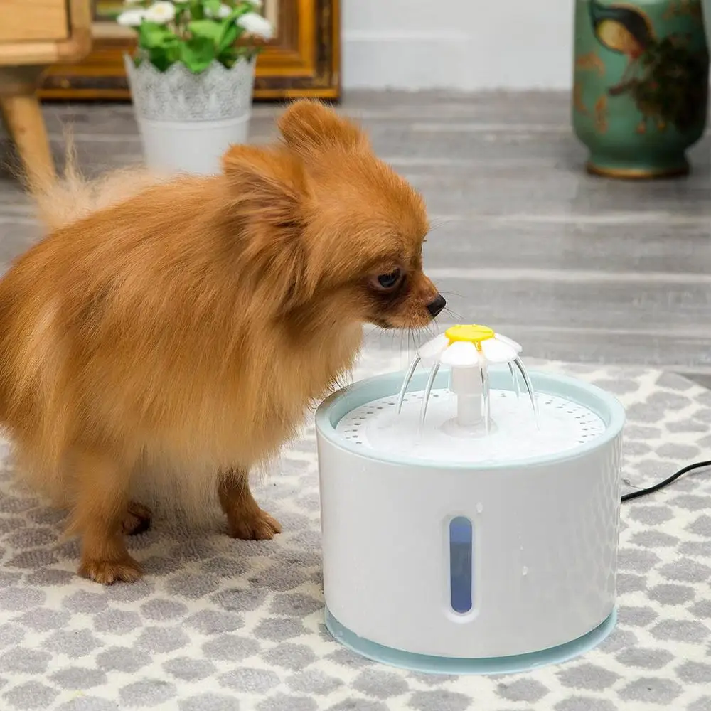 2.4L Pet Cat Water Feeder with LED Electric USB Fountain Pet Cat Dog Mute Drinker Bowl Pet Automatic Drinking Dispenser
2.4L Pet Cat Water Feeder with LED Electric USB Fountain Pet Cat Dog Mute Drinker Bowl Pet Automatic Drinking Dispenser