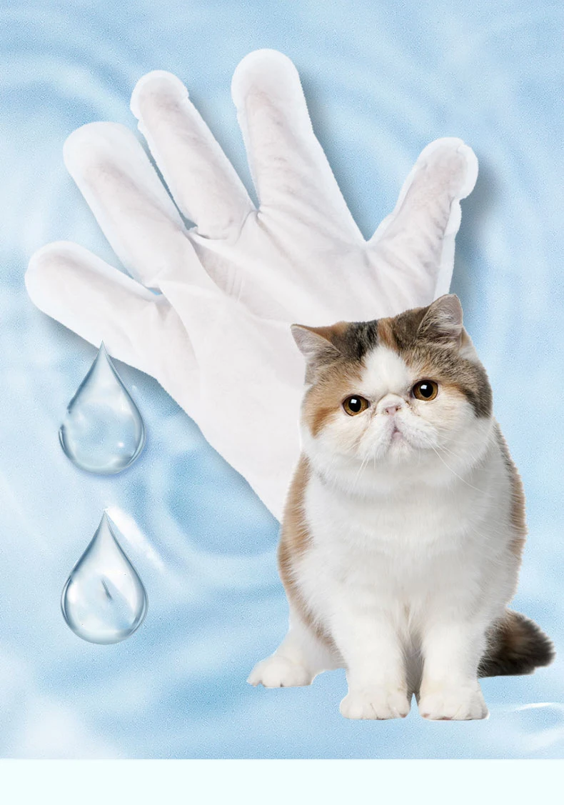 6pcs Pet Eye Wet Wipes Dog Cat Cleaning Wipes Gloves Grooming Tear Stain Remover Gentle Non-initiating Wipes Towel Dry Cleaning
6pcs Pet Eye Wet Wipes Dog Cat Cleaning Wipes Gloves Grooming Tear Stain Remover Gentle Non-initiating Wipes Towel Dry Cleaning
