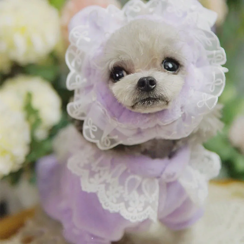 Soft Cat Clothes Dog Tshirt Jacket With Hat Winter Warm Shirt Pajamas Lace Coat Purple Clothing For Princess Girls Pet Costume L
Soft Cat Clothes Dog Tshirt Jacket With Hat Winter Warm Shirt Pajamas Lace Coat Purple Clothing For Princess Girls Pet Costume L
