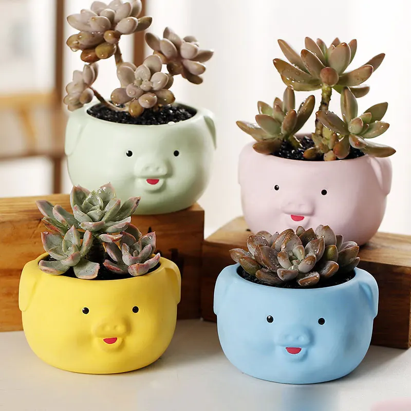 Керамический цветочный горшок в Корейском стиле, простой цветочный горшок с изображением поросенка и суккулента, украшение для стола, креа...
Керамический цветочный горшок в Корейском стиле, простой цветочный горшок с изображением поросенка и суккулента, украшение для стола, креа...