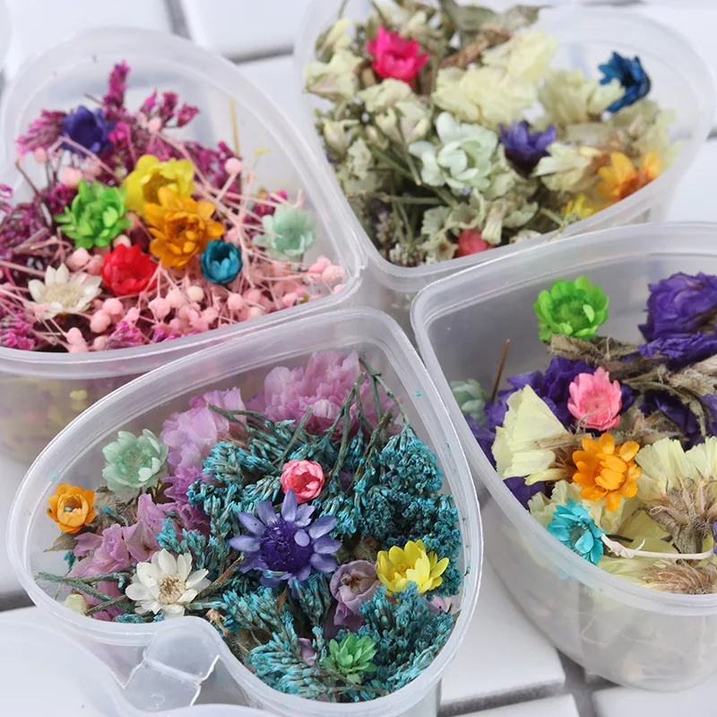 1box Dried Flowers Leaf Uv Resin Decoration Natural Floral Sticker 3d Dry Beauty Nail Art Decals Epoxy Mold Diy Filling Jewelry
1box Dried Flowers Leaf Uv Resin Decoration Natural Floral Sticker 3d Dry Beauty Nail Art Decals Epoxy Mold Diy Filling Jewelry