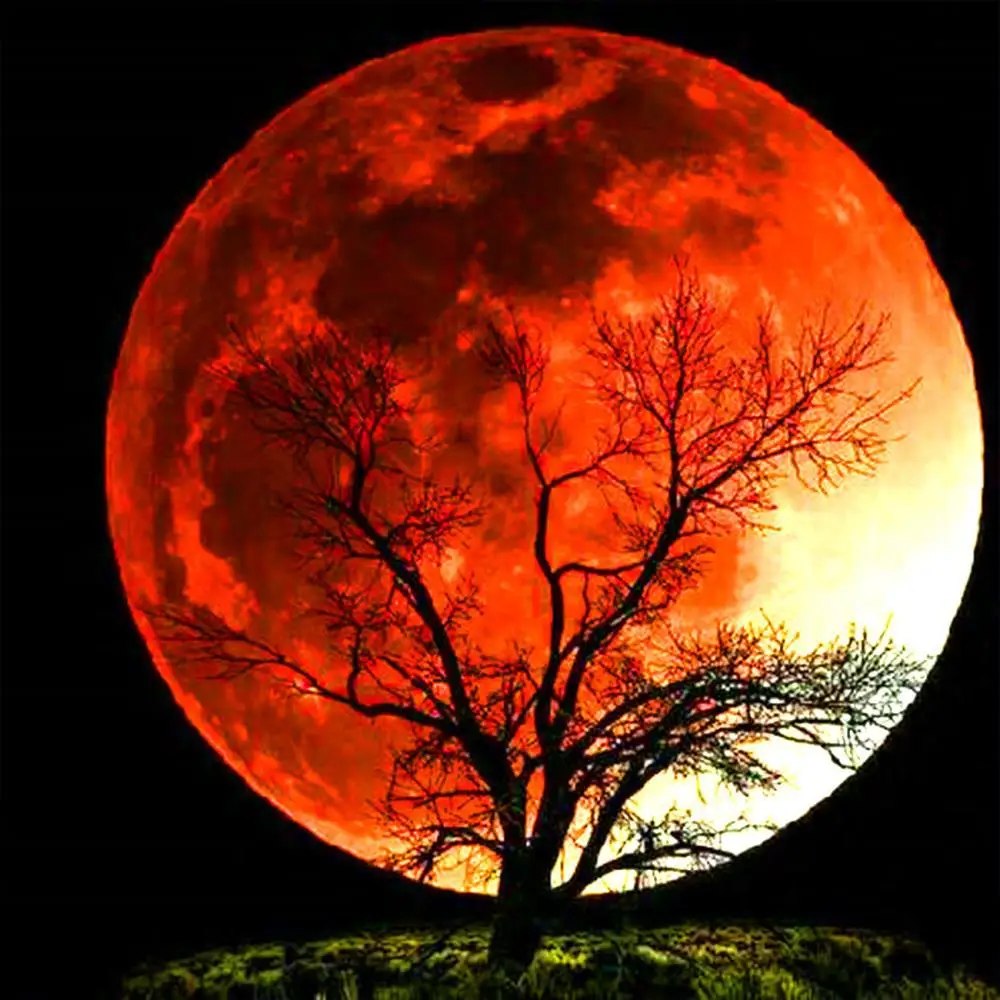 5D Diamond Painting Bright Moon Full Drill Embroidery Cross Stitch Picture Supplies Arts Craft Wall Sticker Decor
5D Diamond Painting Bright Moon Full Drill Embroidery Cross Stitch Picture Supplies Arts Craft Wall Sticker Decor