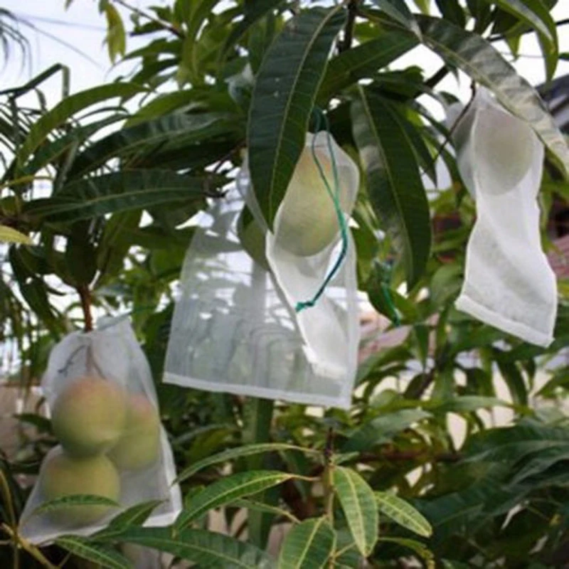 50Pcs Garden Plant Cover Net Fruit Protect Drawstring Mesh Net Bag Garden Pest Control Anti Bird Netting 50Pcs Set
50Pcs Garden Plant Cover Net Fruit Protect Drawstring Mesh Net Bag Garden Pest Control Anti Bird Netting 50Pcs Set