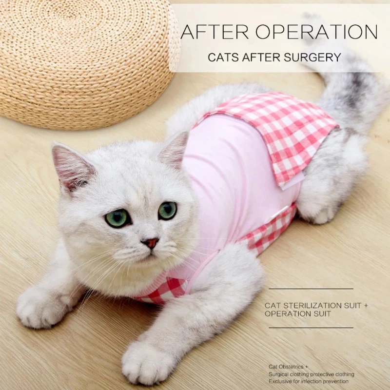 Cat Recovery Suit Clothes Postoperative Weaning Suit Breathable Physiological Clothes Pet Medication Anti-licking Cat Vest
Cat Recovery Suit Clothes Postoperative Weaning Suit Breathable Physiological Clothes Pet Medication Anti-licking Cat Vest