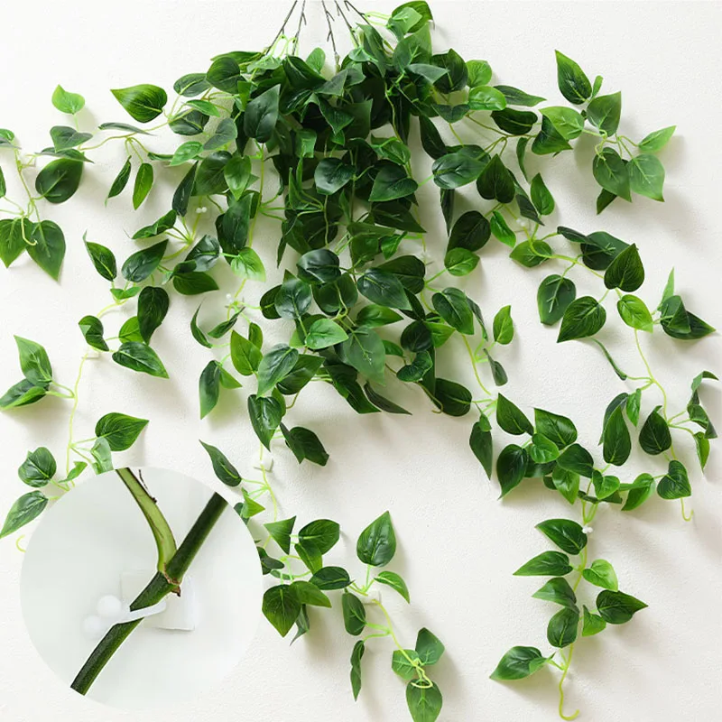 10Pcs/lot Self-adhesive Wall Rattan Clamp Clip Wall Vine Climbing Sticky Hook Rattan Fixed Clip Bracket Plant Stent Supports
10Pcs/lot Self-adhesive Wall Rattan Clamp Clip Wall Vine Climbing Sticky Hook Rattan Fixed Clip Bracket Plant Stent Supports