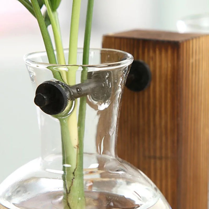 Hot Sale Hydroponic Plant Vases Vintage Flower Pot Transparent Vase Wooden Frame Glass Tabletop Plants Bonsai Home Decoration
Hot Sale Hydroponic Plant Vases Vintage Flower Pot Transparent Vase Wooden Frame Glass Tabletop Plants Bonsai Home Decoration