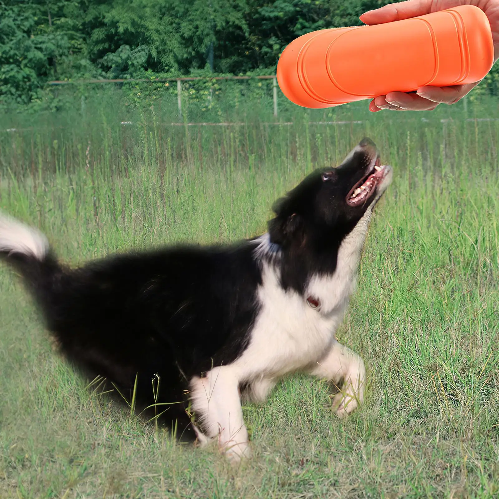 Colorful Dog Toy Dog Flying Saucer Pet Training Dog Flying Disk Super Soft Hot Sale Smooth Lines Training Tool
Colorful Dog Toy Dog Flying Saucer Pet Training Dog Flying Disk Super Soft Hot Sale Smooth Lines Training Tool