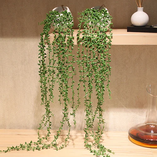 1pcs plastic simulation plant artificial flower green plant potted wall hanging rattan ceiling decoration S7A0546
1pcs plastic simulation plant artificial flower green plant potted wall hanging rattan ceiling decoration S7A0546