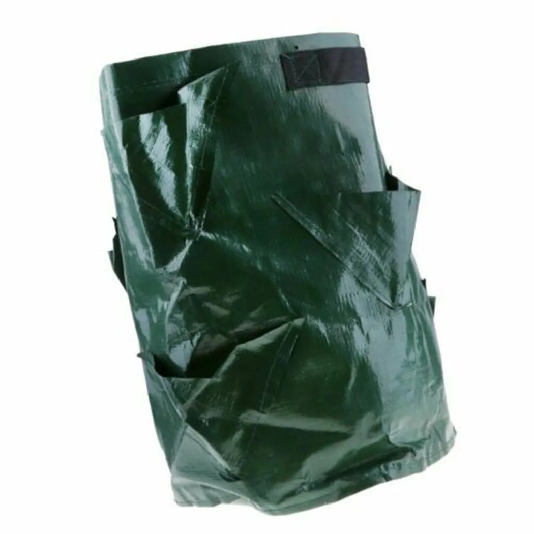 Planter Plant Grow Bag Strawberry Vegetables 10Gallon 13.78\\\\\\\\\\\\\\\" X 17.72\\\\\\\\\\\\\\\"
Planter Plant Grow Bag Strawberry Vegetables 10Gallon 13.78\\\\\\\\\\\\\\\" X 17.72\\\\\\\\\\\\\\\"