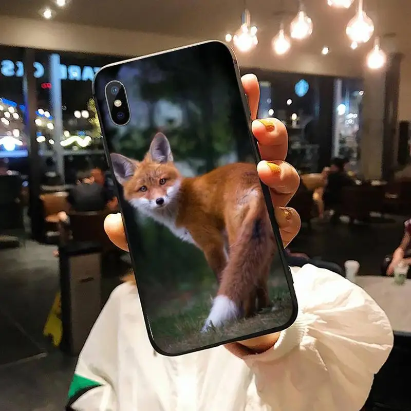 Fox in the wild animal Autumn fashion capa Phone Case for iPhone 11 12 pro XS MAX 8 7 6 6S Plus X 5S SE 2020 XR 
Fox in the wild animal Autumn fashion capa Phone Case for iPhone 11 12 pro XS MAX 8 7 6 6S Plus X 5S SE 2020 XR