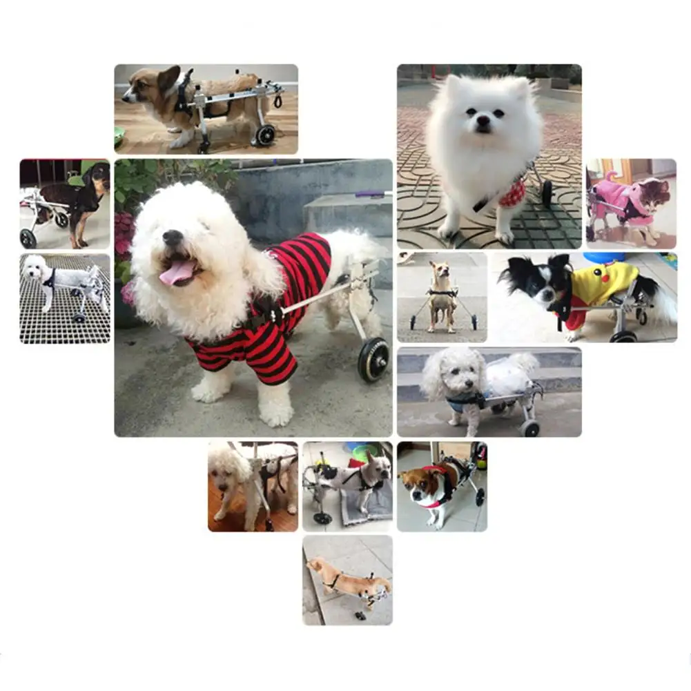 2 Wheel Pet Dog Wheelchair Assisted Walk Car Scooter For Handicapped Hind Leg Adjustable Durable For 1-20kg Pet
2 Wheel Pet Dog Wheelchair Assisted Walk Car Scooter For Handicapped Hind Leg Adjustable Durable For 1-20kg Pet