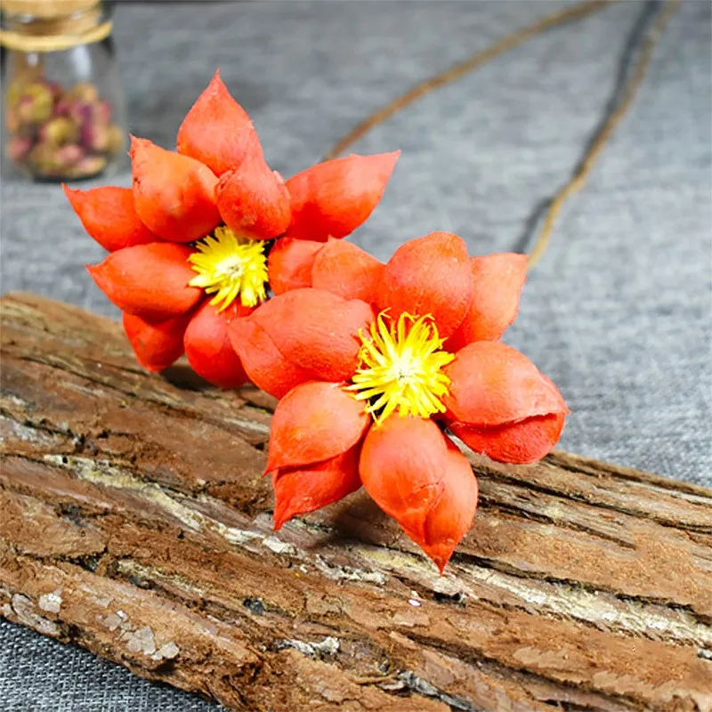 Christmas Gift Plantas Naturales Dried Flower Daisy Lotus Natale Decorazioni DIY Decoration For Home Party Office Decorative
Christmas Gift Plantas Naturales Dried Flower Daisy Lotus Natale Decorazioni DIY Decoration For Home Party Office Decorative