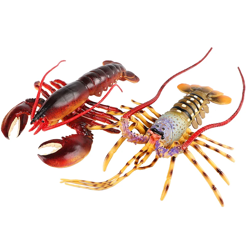 Simulation Ocean Solid Australian Lobster Living Room Toy Crayfish Model Underwater Animal Cognitive Gift Figure Model TOYS
Simulation Ocean Solid Australian Lobster Living Room Toy Crayfish Model Underwater Animal Cognitive Gift Figure Model TOYS