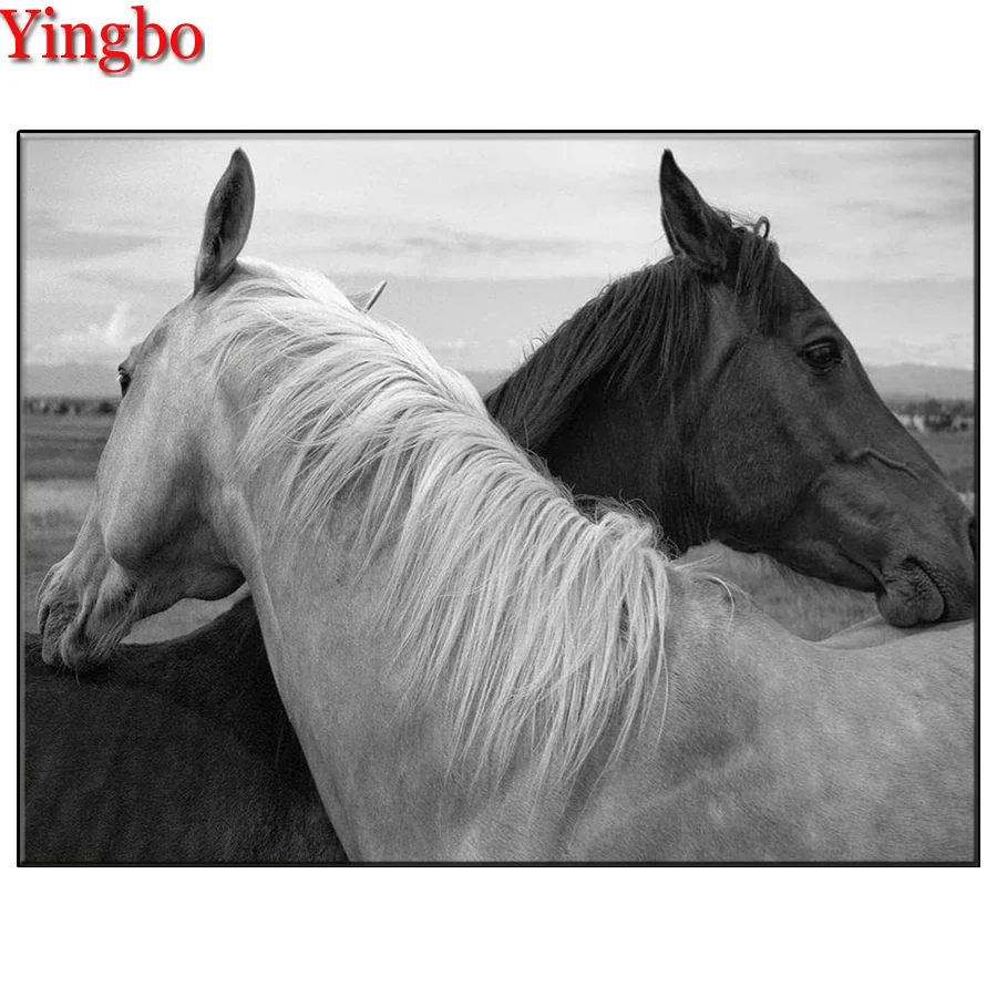 black horse and white horse 5d diy diamond painting full square/round drill mosaic diamond embroidery Black and white animal art
black horse and white horse 5d diy diamond painting full square/round drill mosaic diamond embroidery Black and white animal art