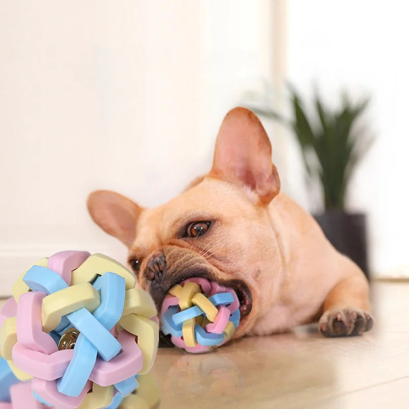 Diameter 8cm Macaron Rainbow Pet Bell Ball Dog Toy Cat Toys Pet Dog Ball Bell Rubber Chew Toys Play Teeth Training Pet Products
Diameter 8cm Macaron Rainbow Pet Bell Ball Dog Toy Cat Toys Pet Dog Ball Bell Rubber Chew Toys Play Teeth Training Pet Products