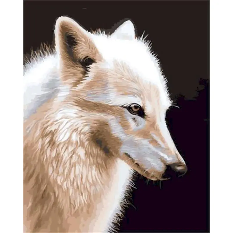 Wolf Picture By Number Animal 40x50 With Frame On Canvas Painting Drawing DIY Kits For Adults Coloring By Number Decortion Art 
Wolf Picture By Number Animal 40x50 With Frame On Canvas Painting Drawing DIY Kits For Adults Coloring By Number Decortion Art