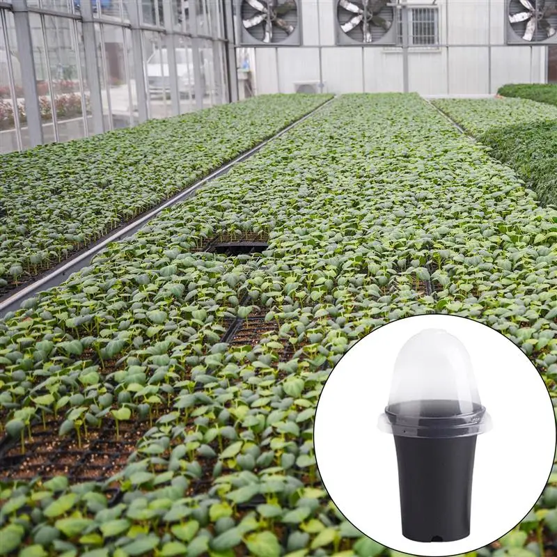 10pcs Plant Nursery Plant Pots Garden Growing Pot Home Garden Planter Nursery Pots Round Flower Seedlings Sowing
10pcs Plant Nursery Plant Pots Garden Growing Pot Home Garden Planter Nursery Pots Round Flower Seedlings Sowing