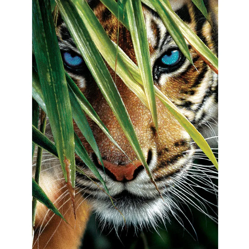 Tiger Blue Eyes 5d Diamond Painting Embroidery Landscape Cross Stitch Kits Mosaic Canvas Wall Home Decoration Handmade
Tiger Blue Eyes 5d Diamond Painting Embroidery Landscape Cross Stitch Kits Mosaic Canvas Wall Home Decoration Handmade
