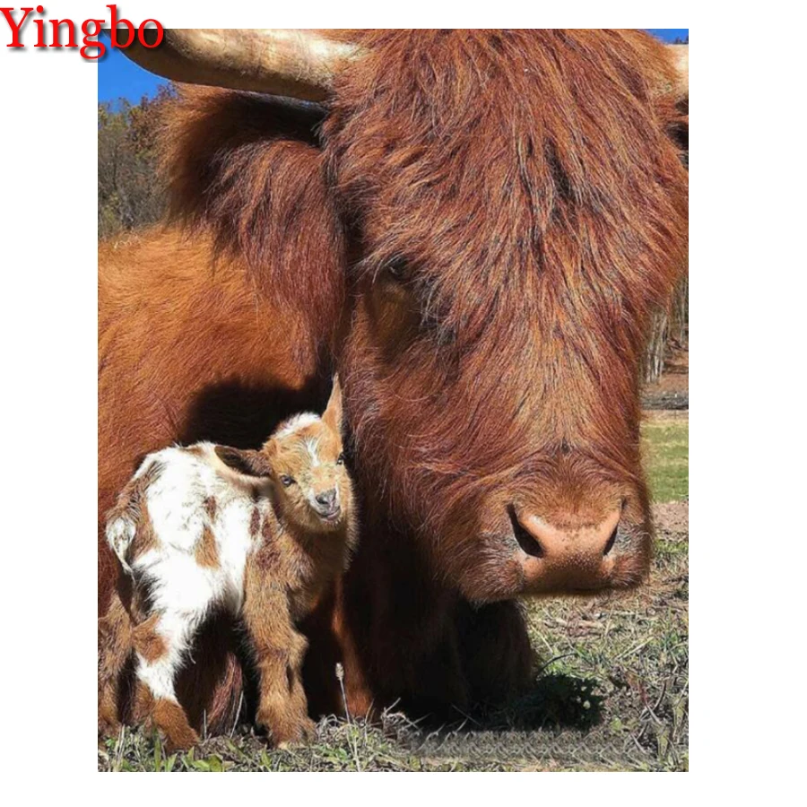 DIY 5D Diamond Painting Cross Stitch Highland Cow pattern Diamond Embroidery Full square Drill Diamond Mosaic Crystal wall Decor
DIY 5D Diamond Painting Cross Stitch Highland Cow pattern Diamond Embroidery Full square Drill Diamond Mosaic Crystal wall Decor