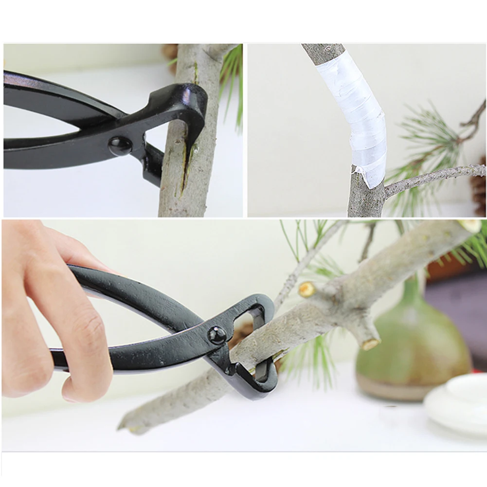 Gardening Pruning Tools Cutting Plier Bonsai Miniascape Flat/Inclined Mouth Branch Cutting Pliers Garde Coarse Branches Pruner
Gardening Pruning Tools Cutting Plier Bonsai Miniascape Flat/Inclined Mouth Branch Cutting Pliers Garde Coarse Branches Pruner