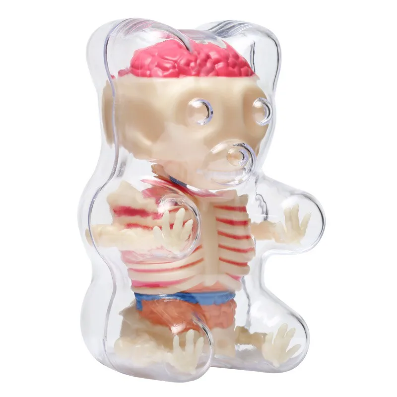 4D MASTER Anatomy bear assembly model DIY soft candy Bear Toy Puzzle gift
4D MASTER Anatomy bear assembly model DIY soft candy Bear Toy Puzzle gift