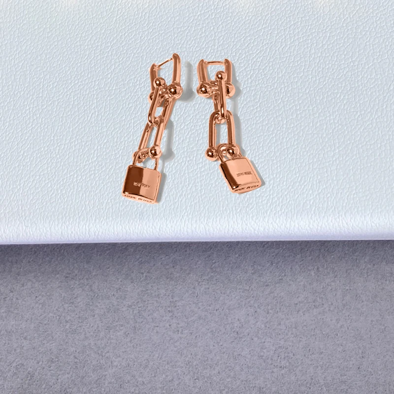 2020 Strolling New York Fashion Women Lock double knot S925 Sterling silver earrings Original Luxury brands Fashion gift
2020 Strolling New York Fashion Women Lock double knot S925 Sterling silver earrings Original Luxury brands Fashion gift