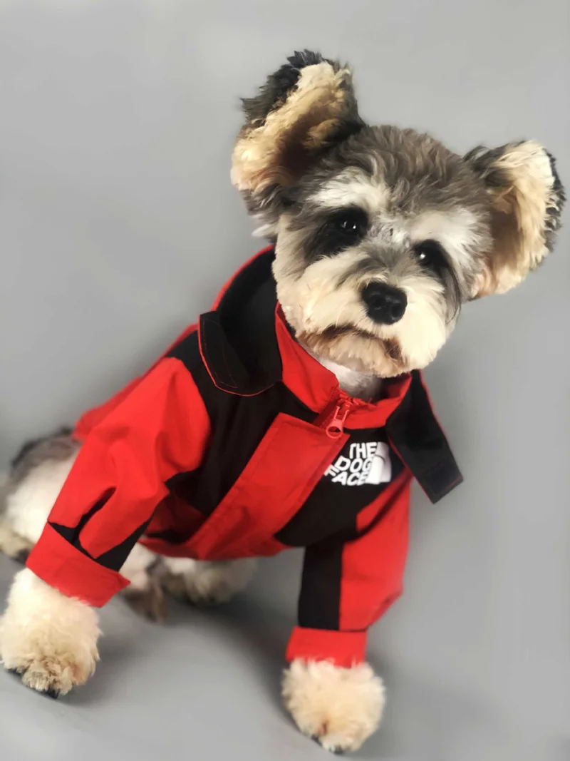 Luxury Dog Coat Pet Clothes Winter Warm Dog Jacket Windproof Coat French Bulldog Outdoor Detachable Vest Pet Clothes
Luxury Dog Coat Pet Clothes Winter Warm Dog Jacket Windproof Coat French Bulldog Outdoor Detachable Vest Pet Clothes