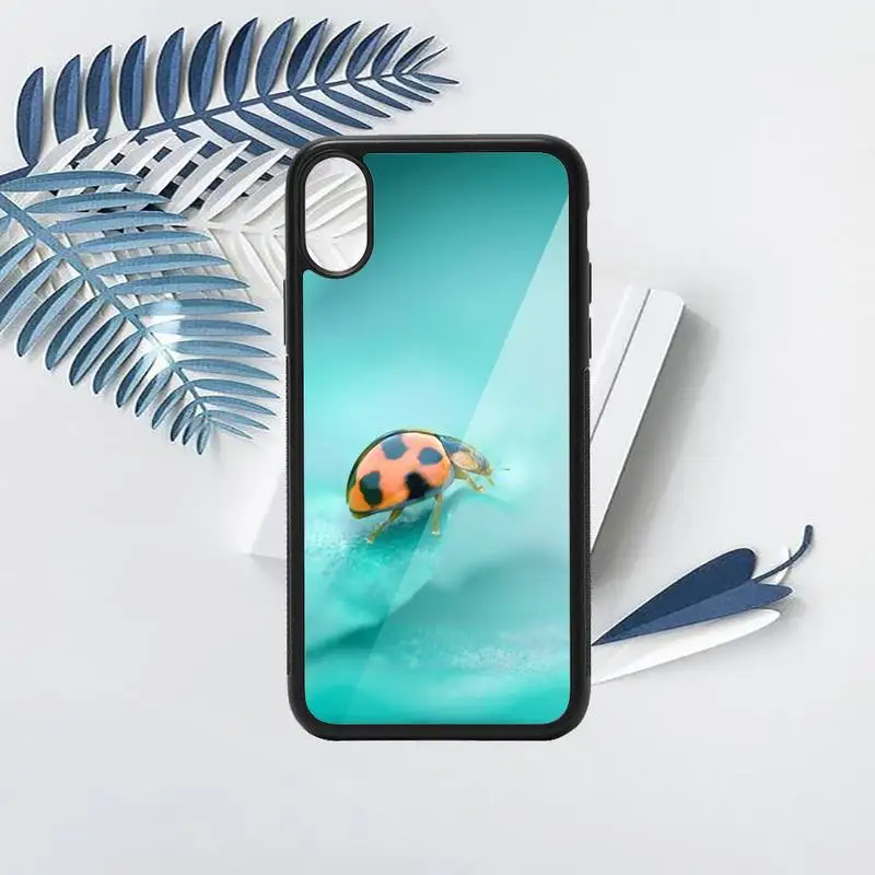 ladybug animal flower plant Phone Case PC for iPhone 11 12 pro XS MAX 8 7 6 6S Plus X 5S SE 2020 XR
ladybug animal flower plant Phone Case PC for iPhone 11 12 pro XS MAX 8 7 6 6S Plus X 5S SE 2020 XR