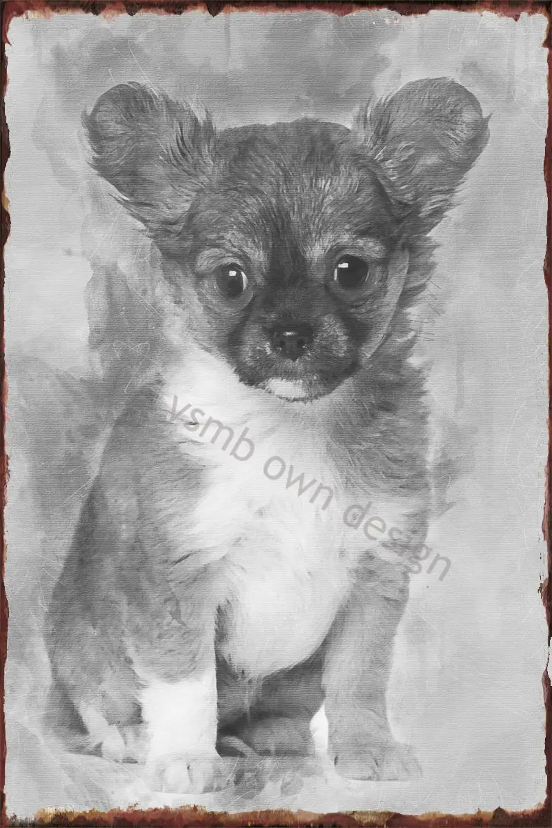 Жестяная ретро-табличка для щенка чихуахуа 3 месяца о, винтажная металлическая вывеска, Оловянная табличка, Настенный декор для художествен...
Жестяная ретро-табличка для щенка чихуахуа 3 месяца о, винтажная металлическая вывеска, Оловянная табличка, Настенный декор для художествен...