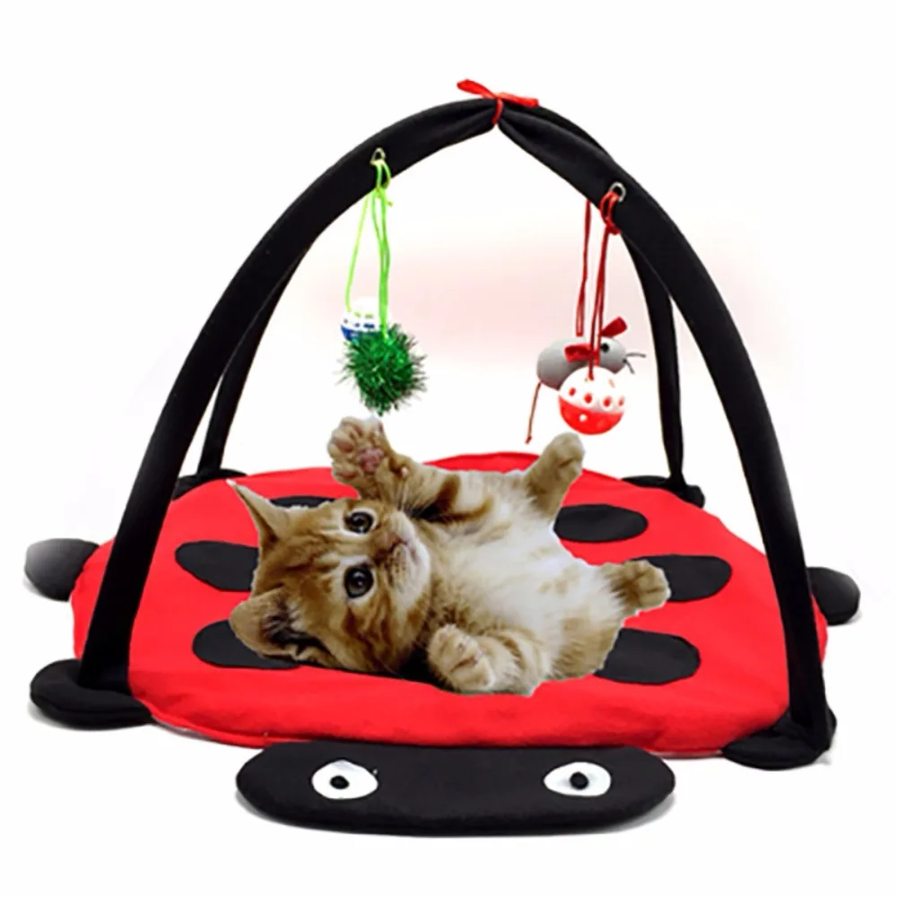 Игровая кровать для кошек, смешная красочная игрушка, подушка для котят, подарок для упражнений, складная кровать для игрушек, кровать для к...
Игровая кровать для кошек, смешная красочная игрушка, подушка для котят, подарок для упражнений, складная кровать для игрушек, кровать для к...