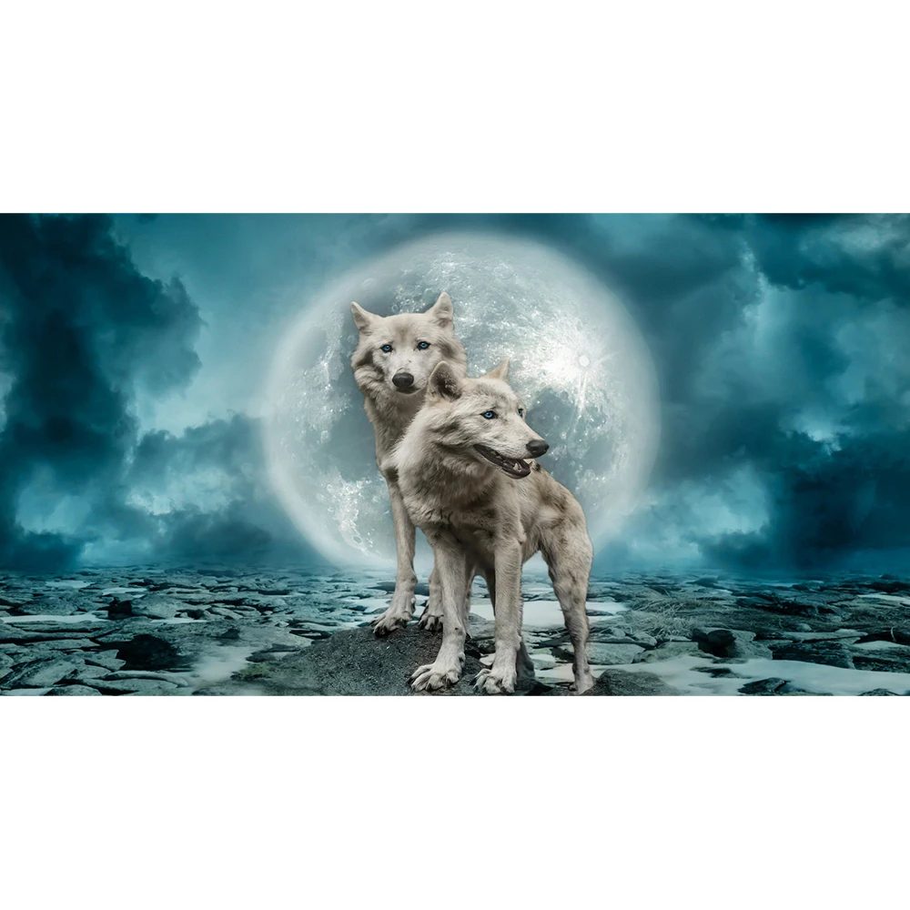 5D DIY Art Diamond Painting Moon and Wolf Pattern Diamond Mosaic Full Embroidery Cross Stitch Home Decoration Gift
5D DIY Art Diamond Painting Moon and Wolf Pattern Diamond Mosaic Full Embroidery Cross Stitch Home Decoration Gift