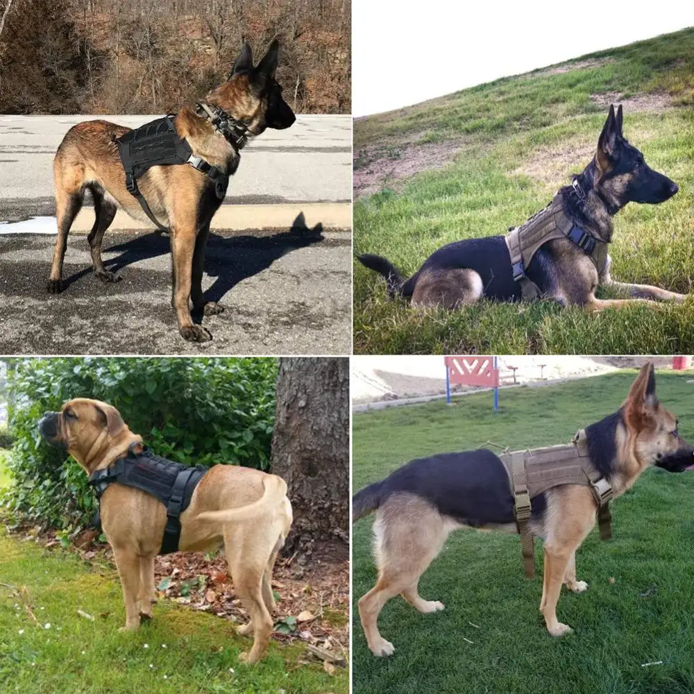 1000D Nylon Pet Dog Harness Collar Military Tactical Dog Harness K9 Working Pet Dog Collar Vest For Medium Large Dogs
1000D Nylon Pet Dog Harness Collar Military Tactical Dog Harness K9 Working Pet Dog Collar Vest For Medium Large Dogs