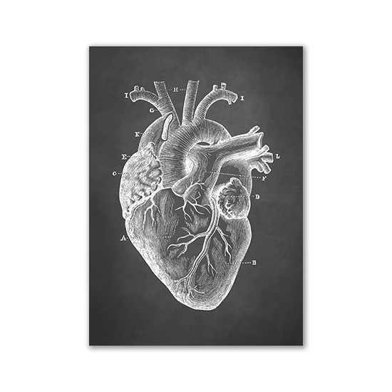 Настенная картина анатомия человека Pina Colada
Настенная картина анатомия человека Pina Colada