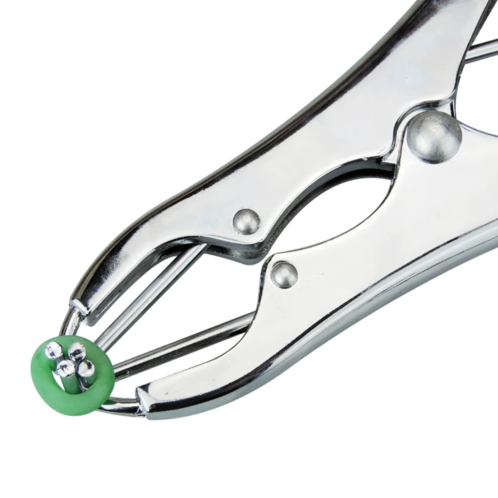 1set castrate emasculate plier tail cut pig sheep goat lamb forcep clamp cutter cutting device castration veterinary equipment
1set castrate emasculate plier tail cut pig sheep goat lamb forcep clamp cutter cutting device castration veterinary equipment