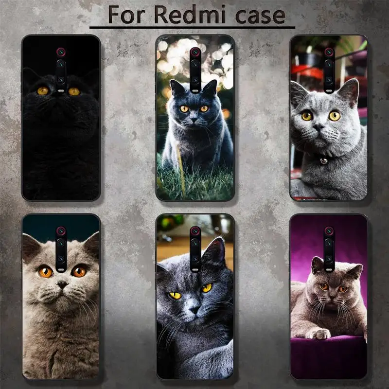 British shorthair cat Phone Case for RedMi 5 5plus 6 Pro 6A S2 4X GO 7A 8A 7 8 9 K20 case
British shorthair cat Phone Case for RedMi 5 5plus 6 Pro 6A S2 4X GO 7A 8A 7 8 9 K20 case