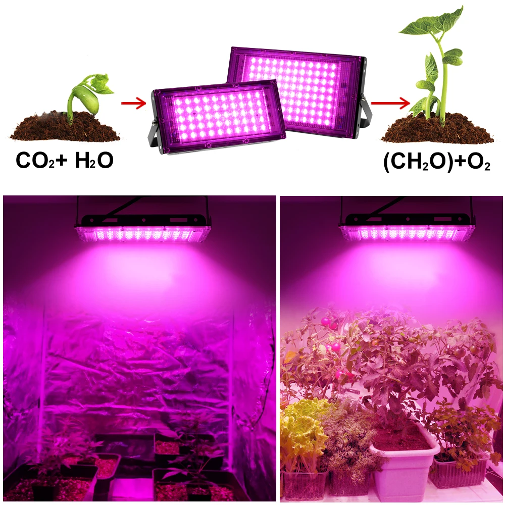 50W LED Grow Light Phytolamp for Plants AC 220V 110V Full Spectrum LED Floodlight for Flowers Seedlings Plant Growing Phyto Lamp 
50W LED Grow Light Phytolamp for Plants AC 220V 110V Full Spectrum LED Floodlight for Flowers Seedlings Plant Growing Phyto Lamp