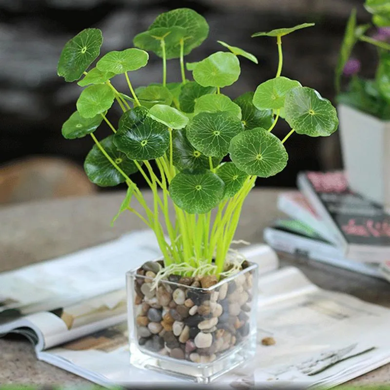 Green Lotus Leaf Imitation Fern Plastic Artificial Grass Leaves Plant for Home Wedding Decoration Arrangement Artificial Plants
Green Lotus Leaf Imitation Fern Plastic Artificial Grass Leaves Plant for Home Wedding Decoration Arrangement Artificial Plants