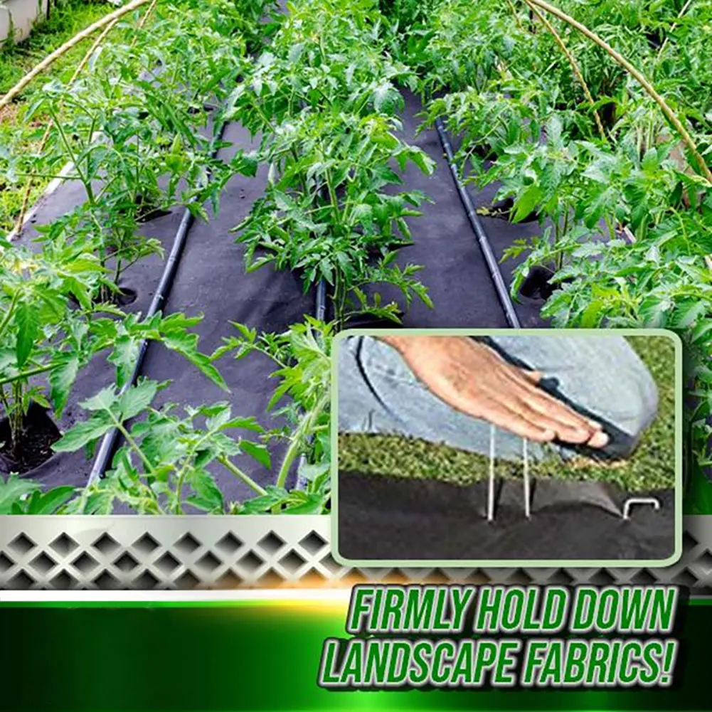 50pcs U-shaped Gardening Nail Lawn Fixer Anti-rust for Fix Weeds Fabric Galvanized Steel Garden Stakes Staples Securing Pegs
50pcs U-shaped Gardening Nail Lawn Fixer Anti-rust for Fix Weeds Fabric Galvanized Steel Garden Stakes Staples Securing Pegs