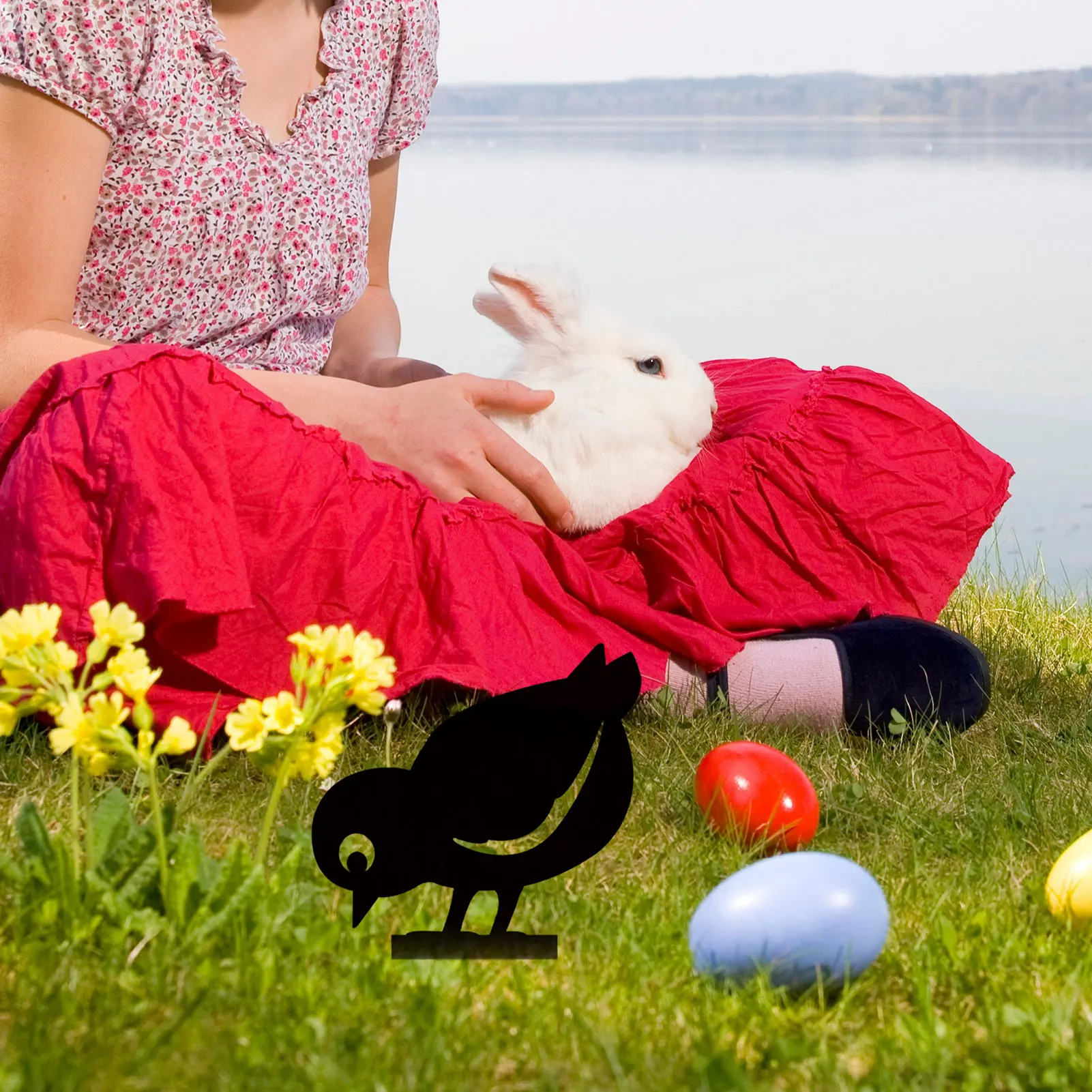 Garden Iron-Bird Garden Decoration Metal Bird Garden Art Stakes Black Bird Silhouette Yard Decoration Repel Rodents Birds Animal 
Garden Iron-Bird Garden Decoration Metal Bird Garden Art Stakes Black Bird Silhouette Yard Decoration Repel Rodents Birds Animal