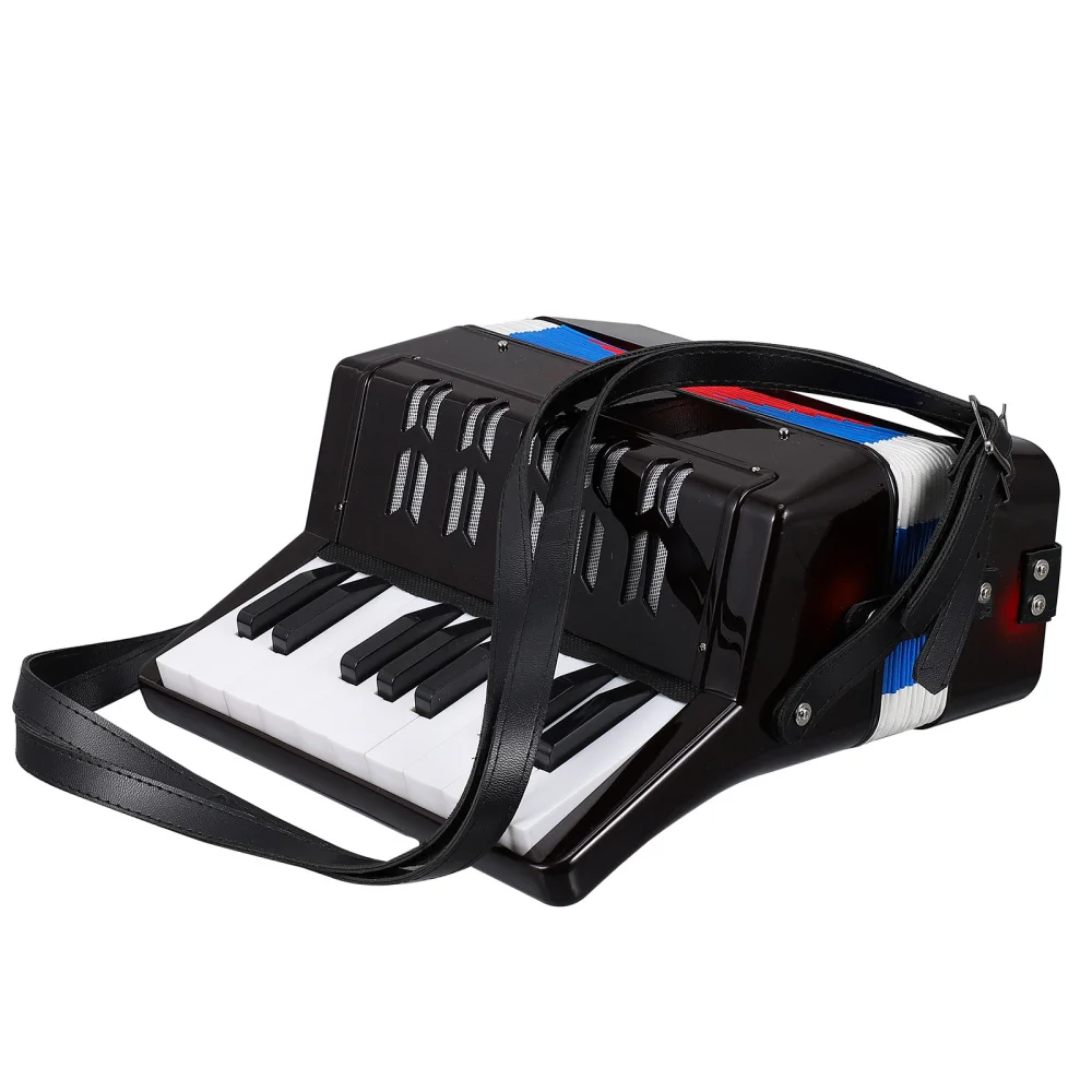 1 Pc Adorable Accordion Introductory Musical Instruments Educational Playthings 
1 Pc Adorable Accordion Introductory Musical Instruments Educational Playthings
