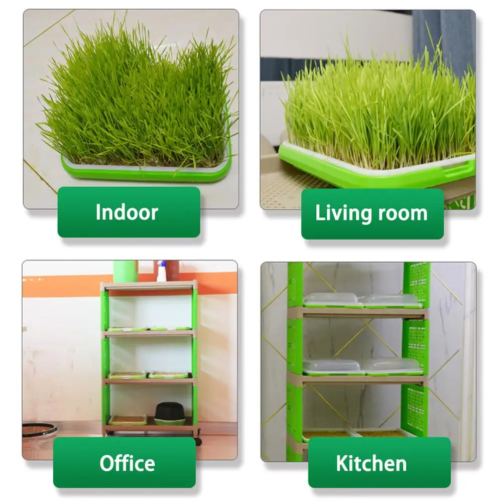 Double-layer Dishes Plate with Moisturizing Insulation Seedling Tray Hydroponic Flower Basket Flower Plant Garden Nursery Pots
Double-layer Dishes Plate with Moisturizing Insulation Seedling Tray Hydroponic Flower Basket Flower Plant Garden Nursery Pots