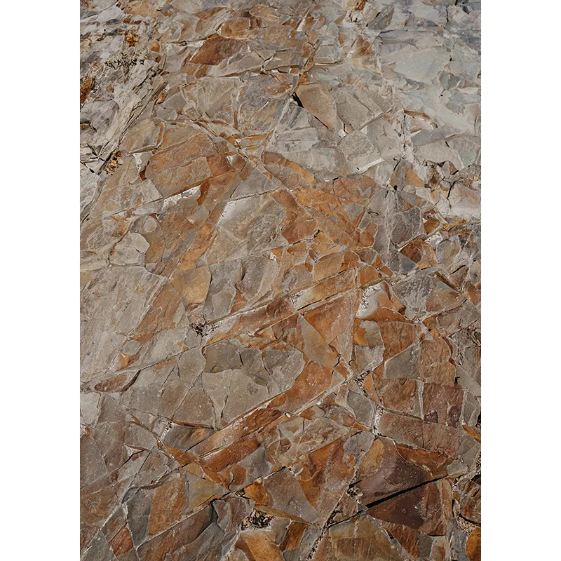 SHENGYANGBAO Vinyl Custom Wood Board Photography Backdrops Props Wooden Plank Floor Photo Studio Background 20925CSM-H1
SHENGYANGBAO Vinyl Custom Wood Board Photography Backdrops Props Wooden Plank Floor Photo Studio Background 20925CSM-H1
