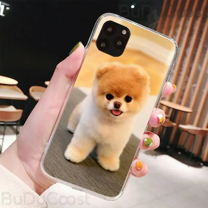 CUCI Pomeranian dogs dog Phone Case For iPhone 11 7 Case For iPhone 11 Pro XS Max X 8 7 6s Plus 5 SE 11 XR Case
CUCI Pomeranian dogs dog Phone Case For iPhone 11 7 Case For iPhone 11 Pro XS Max X 8 7 6s Plus 5 SE 11 XR Case