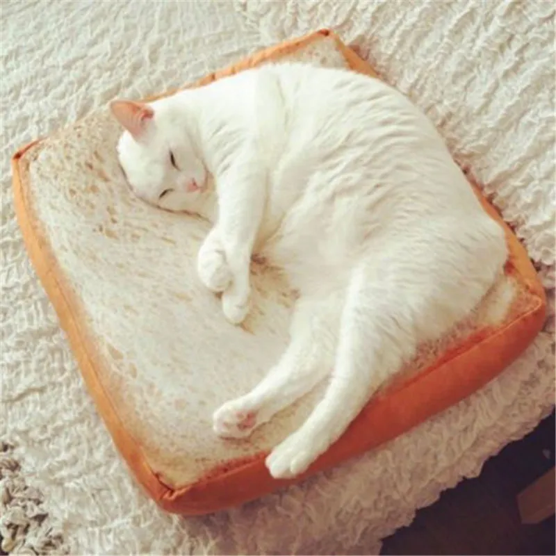 Toast Bread Cat Pillow Dog Pet Soft Sponge Cushion Mat Toast Bread Shaped Cat Dog Sleep Play Rest Bed Pad
Toast Bread Cat Pillow Dog Pet Soft Sponge Cushion Mat Toast Bread Shaped Cat Dog Sleep Play Rest Bed Pad