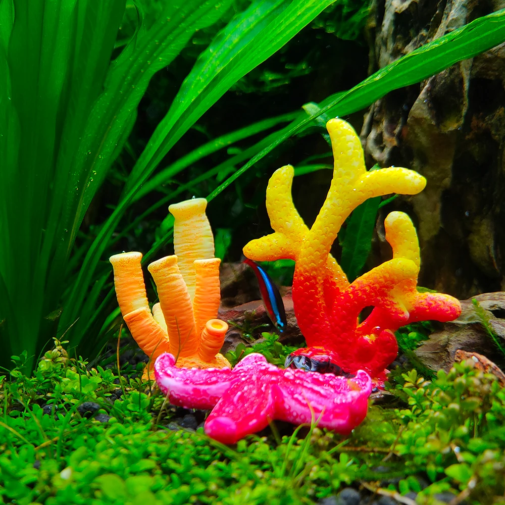 

Resin Coral Aquarium Decoration Mini Artificial Starfish Coral for Fish Tank Decorations for Shrimp Tanks Aquarium Supplies