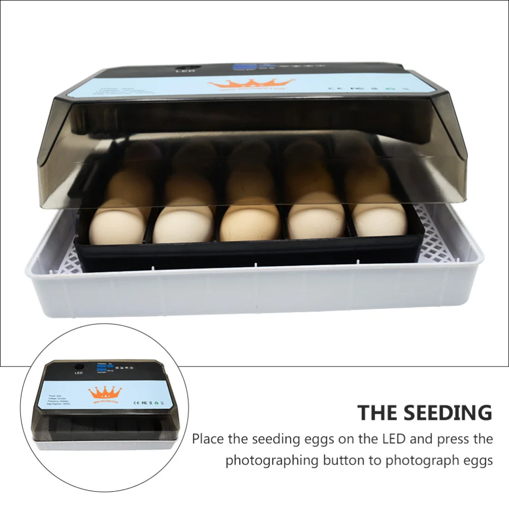 Eggs Incubator Automatic Eggs Turner Hatching Poultry Chickens Tool US Plug
Eggs Incubator Automatic Eggs Turner Hatching Poultry Chickens Tool US Plug