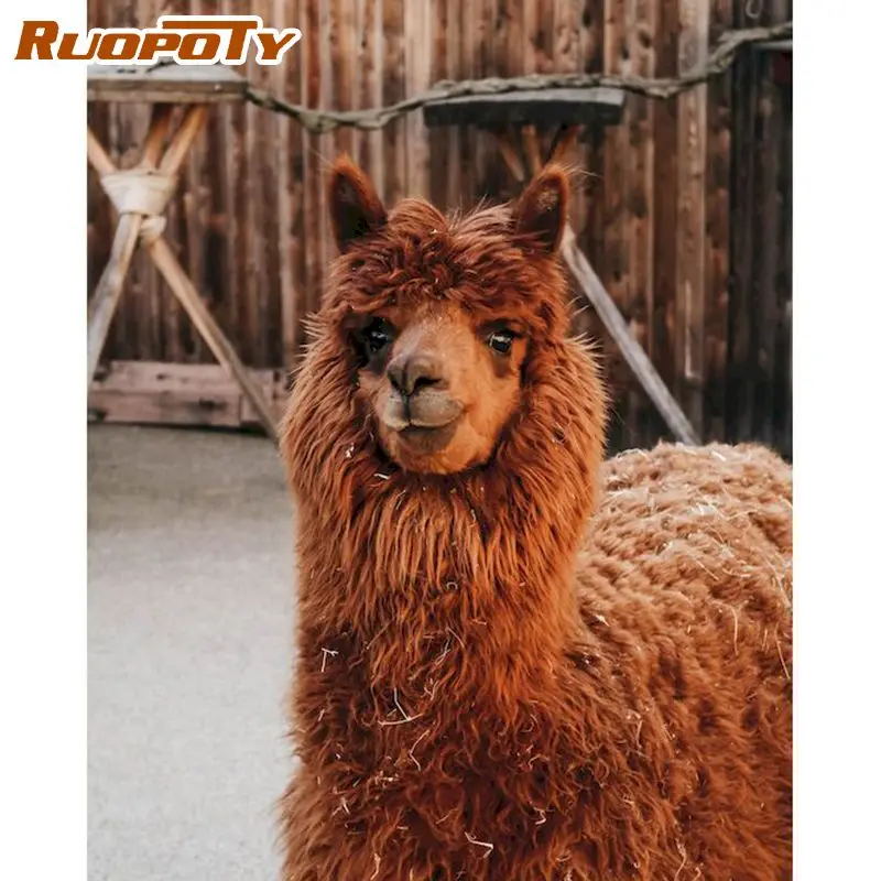 RUOPOTY Animal Paint By Numbers For Adults Children Diy Framed On Canvas Home Decoration 60x75cm Canvas Home Wall Pictures
RUOPOTY Animal Paint By Numbers For Adults Children Diy Framed On Canvas Home Decoration 60x75cm Canvas Home Wall Pictures
